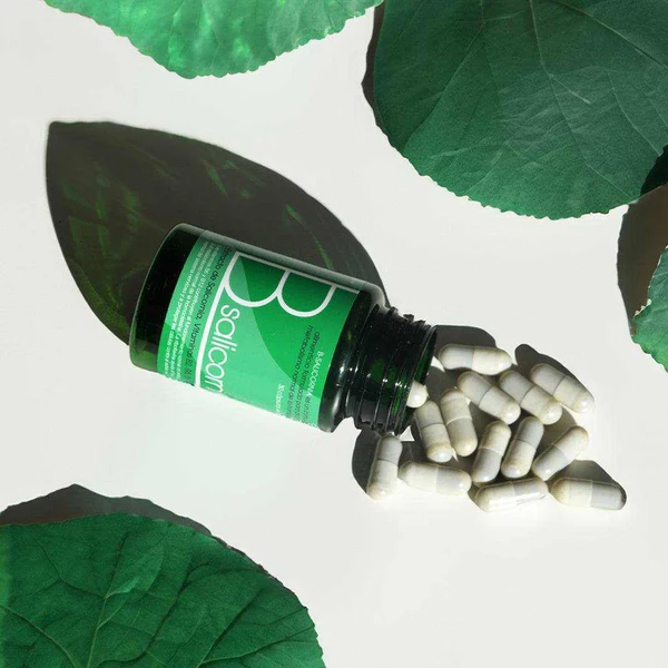 B-Salicornia | Extracto de Salicornia
