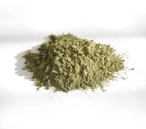 Salero de Salicornia (28g) | Sal verde